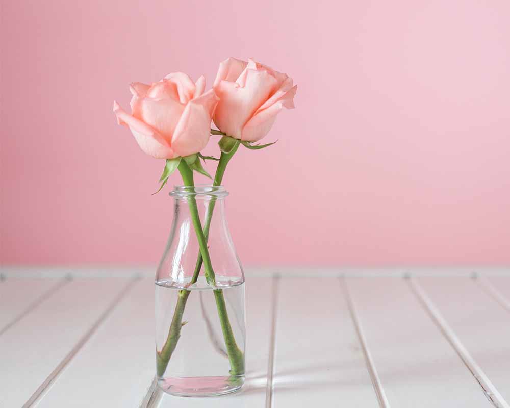vazen voor uw bloemen | Bloemenvazen kopen