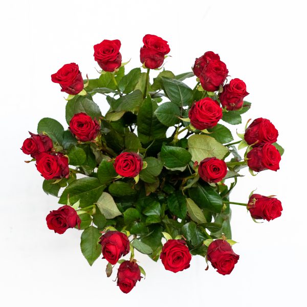 boeket rode rozen