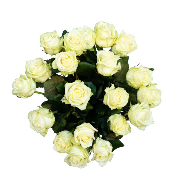 boeket witte rozen