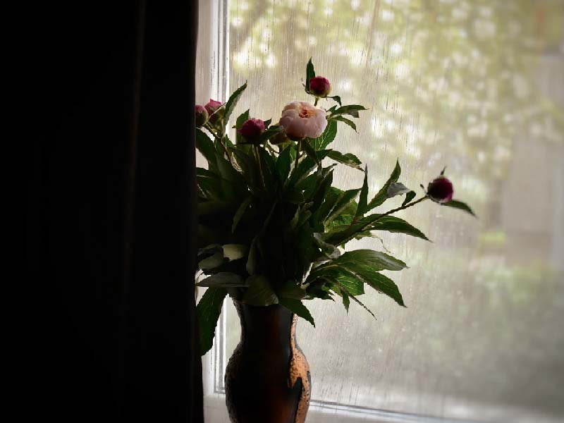 bloemen interieur
